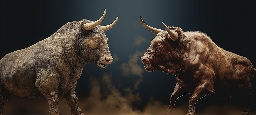 วัวชนออนไลน์ ทำกำไรได้คุ้มค่า วัวชนออนไลน์ ทำกำไรได้คุ้มค่า